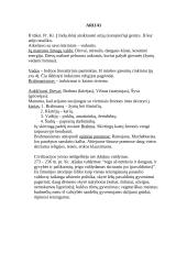 Senovės civilizacijų aprašymas 15 puslapis