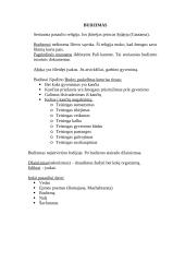 Senovės civilizacijų aprašymas 16 puslapis