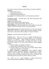 Senovės civilizacijų aprašymas 17 puslapis