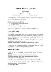 Senovės civilizacijų aprašymas 19 puslapis