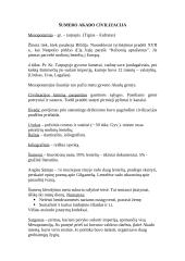 Senovės civilizacijų aprašymas 5 puslapis