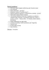 Senovės civilizacijų aprašymas 6 puslapis