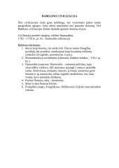 Senovės civilizacijų aprašymas 7 puslapis