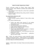 Senovės civilizacijų aprašymas 8 puslapis