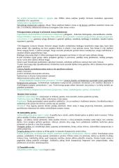 Kaimo architektūra 3 puslapis