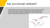 Laisvieji radikalai ir antioksidantai 3 puslapis