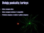 Galvos smegenys ir jų dalys 2 puslapis