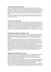 Kapitalistinių santykių atsiradimas. Nyderlandų revoliucija 2 puslapis