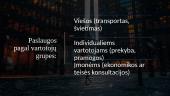 Paslaugos ir infrastuktūra 8 puslapis
