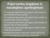 Pirotechnikos gaminiai 8 puslapis