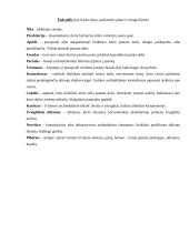 Kauno Vytauto Didžiojo bažnyčia 5 puslapis