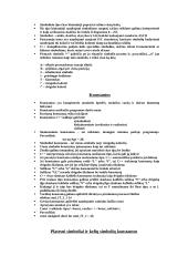 Kintamieji ir jų tipai 3 puslapis