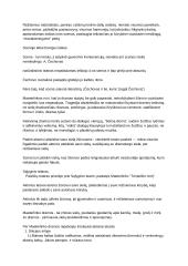 Apie teatro istoriją ir techniką 2 puslapis
