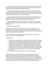 Apie teatro istoriją ir techniką 3 puslapis