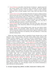 Europos Sąjungos istorija, raida, struktūra 5 puslapis