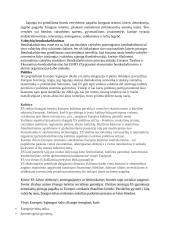 Europos Sąjungos istorija, raida, struktūra 6 puslapis