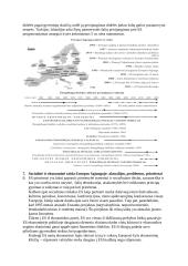 Europos Sąjungos istorija, raida, struktūra 8 puslapis