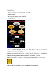 Mikroekonomikos egzamino paruoštukas 11 puslapis