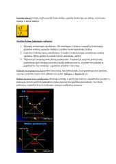 Mikroekonomikos egzamino paruoštukas 13 puslapis