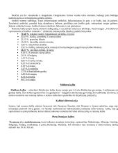 Lotynų kalba ir jos istorija 10 puslapis