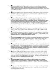 Ms Access pagrindiniai objektai  8 puslapis