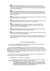 Ms Access pagrindiniai objektai  9 puslapis