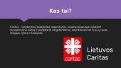 Caritas Lietuvoje 2 puslapis