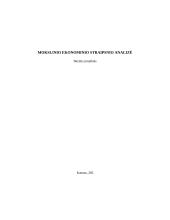 Ekonominio straipsnio analizė