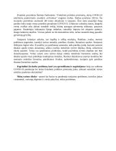 Ekonominio straipsnio analizė 3 puslapis