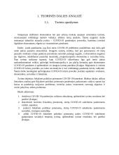 Ekonominio straipsnio analizė 4 puslapis