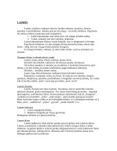 Mitinės būtybės lietuvių tautosakoje - vardai, išvaizda, kilmė 3 puslapis