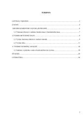 Studento ir praktikos vadovo bendradarbiavimas mokomojoje praktikoje