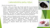 Laboratorinių pelių reprodukcinės fiziologijos ypatumai 4 puslapis