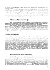Motyvacija — pritaikymas praktikoje 4 puslapis