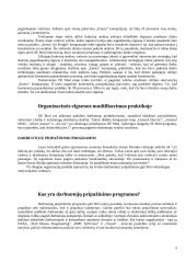 Motyvacija — pritaikymas praktikoje 5 puslapis