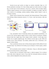 Oro pagalvės automobilyje 6 puslapis