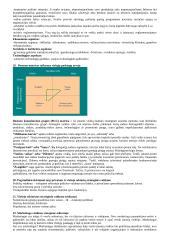 Naujoji viešoji vadyba - NVV 5 puslapis