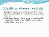 Žvaigždės bei žvaigždynai 5 puslapis