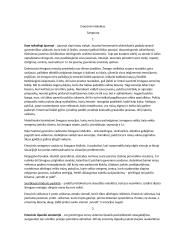 Emocinio intelekto samprata