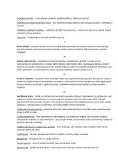 Emocinio intelekto samprata 4 puslapis