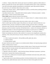 Organizacinė elgsena ir darbuotojų motyvacija 11 puslapis