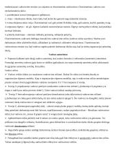 Organizacinė elgsena ir darbuotojų motyvacija 13 puslapis