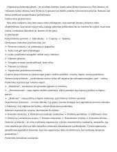 Organizacinė elgsena ir darbuotojų motyvacija 18 puslapis