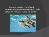 Lietuvos žuvys 2 puslapis