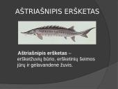 Lietuvos žuvys 11 puslapis