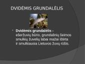 Lietuvos žuvys 5 puslapis