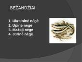 Lietuvos žuvys 6 puslapis