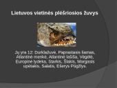 Lietuvos žuvys 7 puslapis