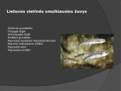 Lietuvos žuvys 8 puslapis