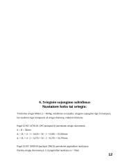 Matavimų teorija ir pakeičiamumas 12 puslapis